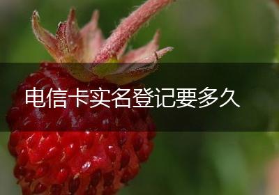 电信卡实名登记要多久