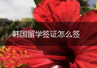 韩国留学签证怎么签