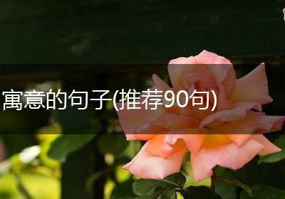 寓意的句子(推荐90句)