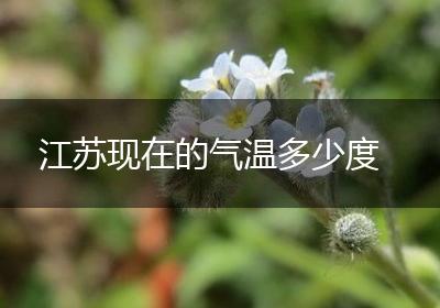 江苏现在的气温多少度