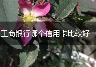 工商银行哪个信用卡比较好
