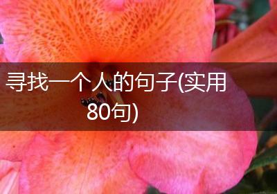 寻找一个人的句子(实用80句)