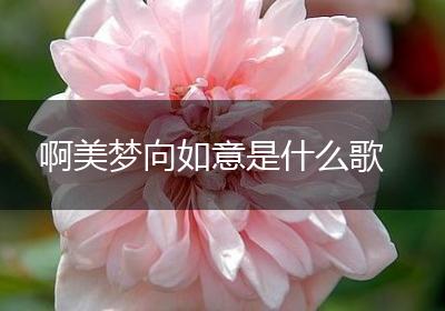 啊美梦向如意是什么歌