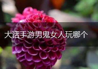 大话手游男鬼女人玩哪个