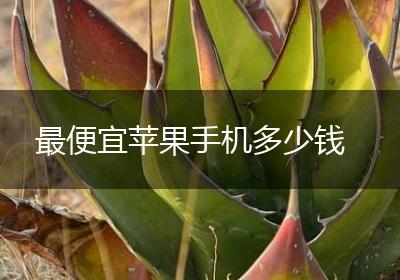 最便宜苹果手机多少钱