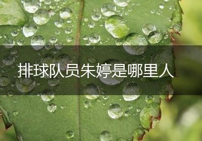 排球队员朱婷是哪里人