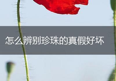 怎么辨别珍珠的真假好坏