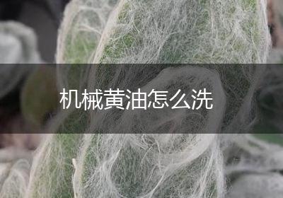 机械黄油怎么洗
