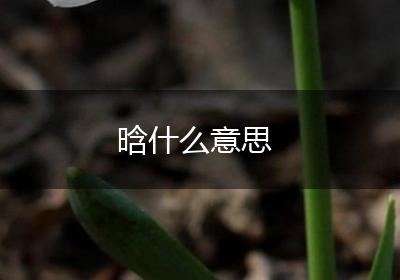 晗什么意思