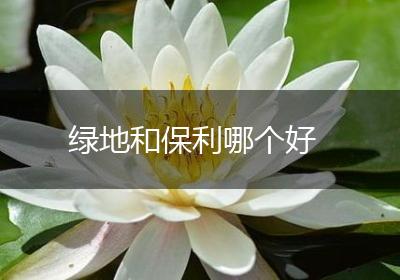绿地和保利哪个好