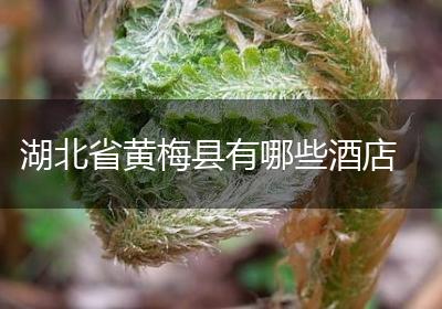 湖北省黄梅县有哪些酒店