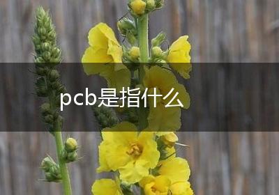 pcb是指什么