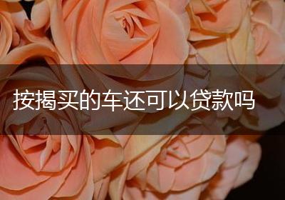 按揭买的车还可以贷款吗