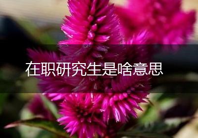 在职研究生是啥意思