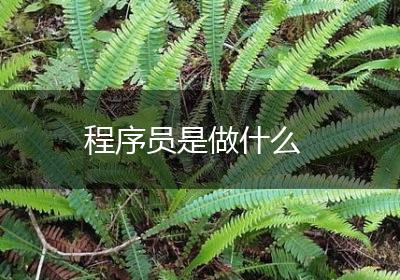 程序员是做什么