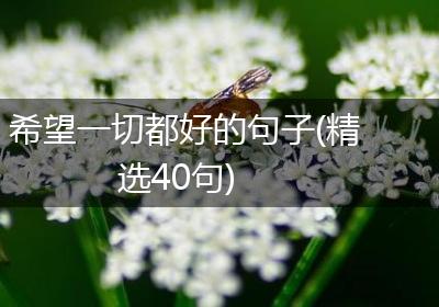 希望一切都好的句子(精选40句)