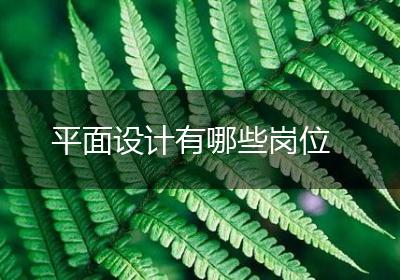 平面设计有哪些岗位
