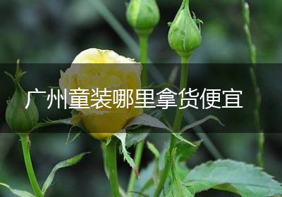 广州童装哪里拿货便宜