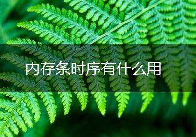 内存条时序有什么用