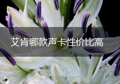 艾肯哪款声卡性价比高