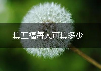 集五福每人可集多少
