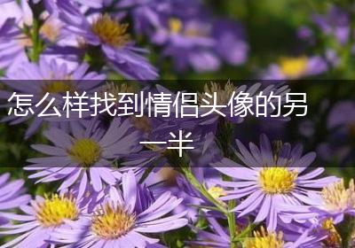 怎么样找到情侣头像的另一半