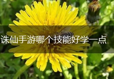 诛仙手游哪个技能好学一点