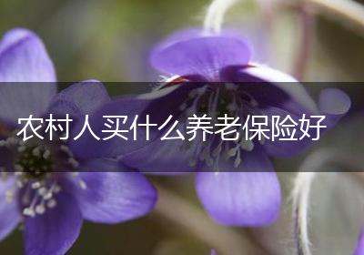农村人买什么养老保险好