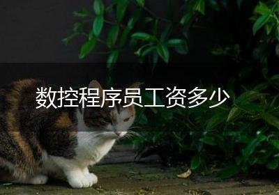 数控程序员工资多少