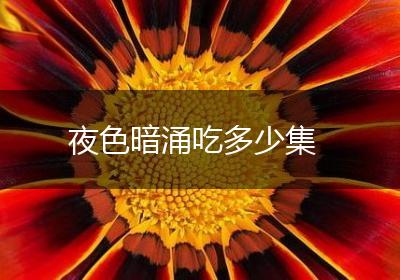 夜色暗涌吃多少集