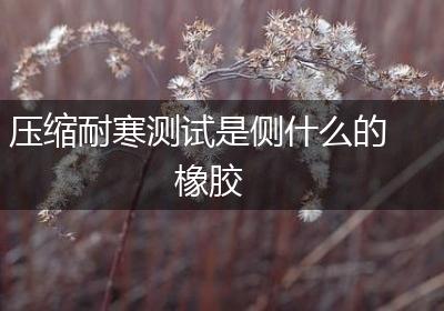 压缩耐寒测试是侧什么的橡胶
