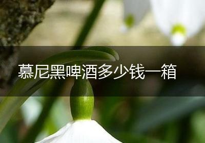 慕尼黑啤酒多少钱一箱