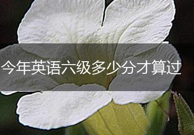 今年英语六级多少分才算过