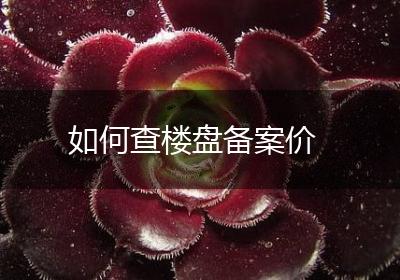 如何查楼盘备案价
