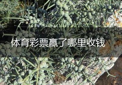 体育彩票赢了哪里收钱