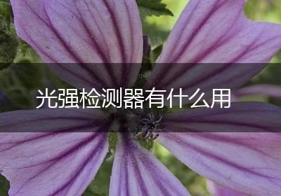 光强检测器有什么用