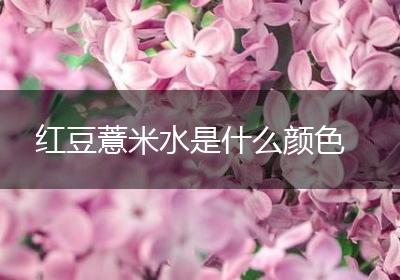 红豆薏米水是什么颜色