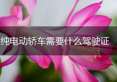 纯电动轿车需要什么驾驶证