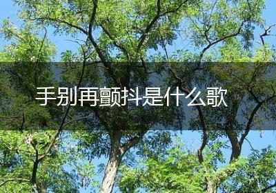手别再颤抖是什么歌