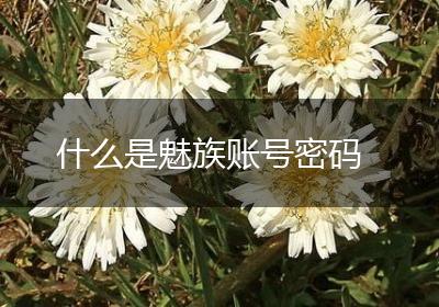 什么是魅族账号密码