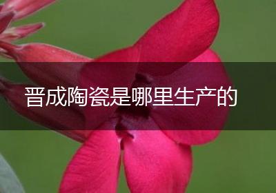 晋成陶瓷是哪里生产的