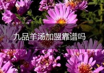 九品羊汤加盟靠谱吗