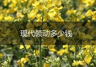 现代领动多少钱