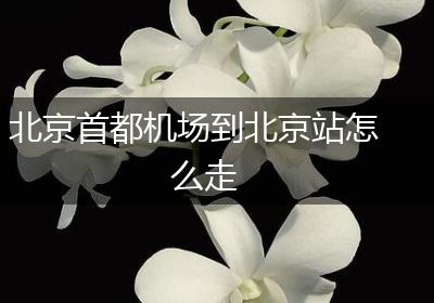 北京首都机场到北京站怎么走