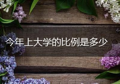 今年上大学的比例是多少