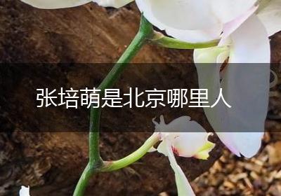张培萌是北京哪里人
