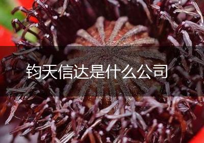 钧天信达是什么公司