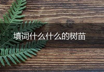 填词什么什么的树苗