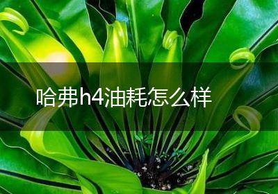 哈弗h4油耗怎么样