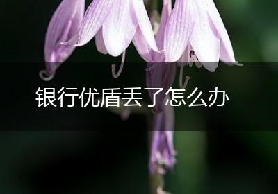 银行优盾丢了怎么办
